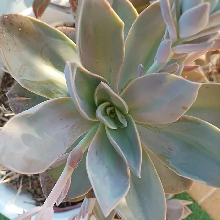 La Casa Di Annalisa Ortona