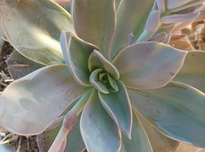 La Casa Di Annalisa Ortona